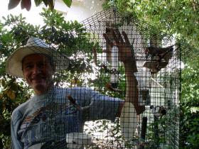 photo coins arrondis